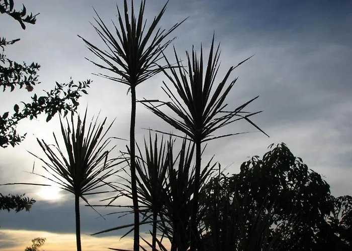 Bantayan Island Nature Park & 3* Humayhumay