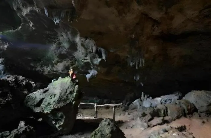 Bantayan Island Nature Park &